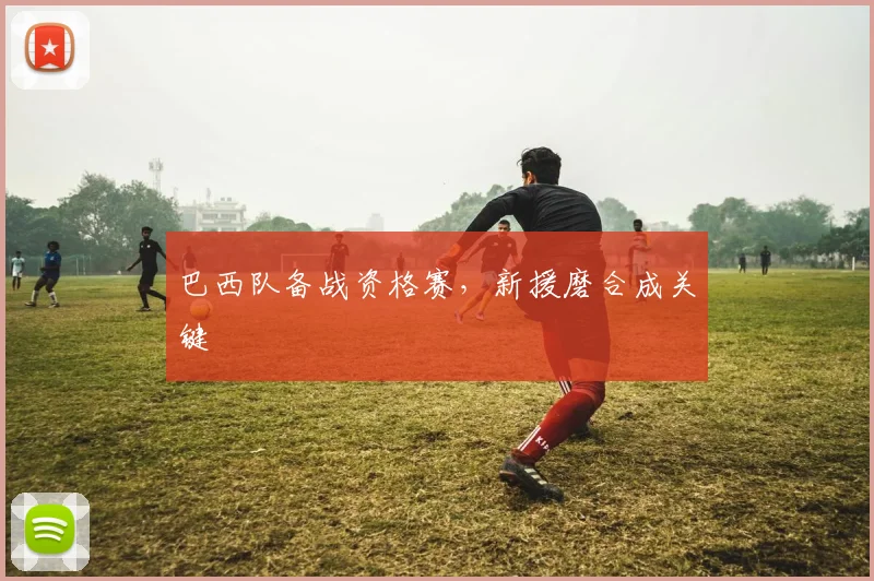 巴西队备战资格赛，新援磨合成关键 - Kaiyun资讯
