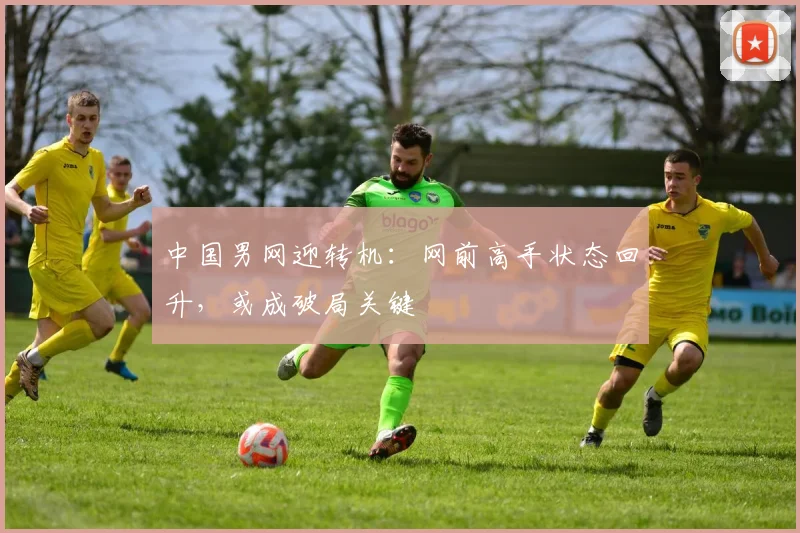 中国男网迎转机：网前高手状态回升，或成破局关键 - Kaiyun推荐