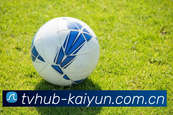 Kaiyun App界面展示 - Kaiyun-开云（中国）官方网站_KAIYUN SPORTS